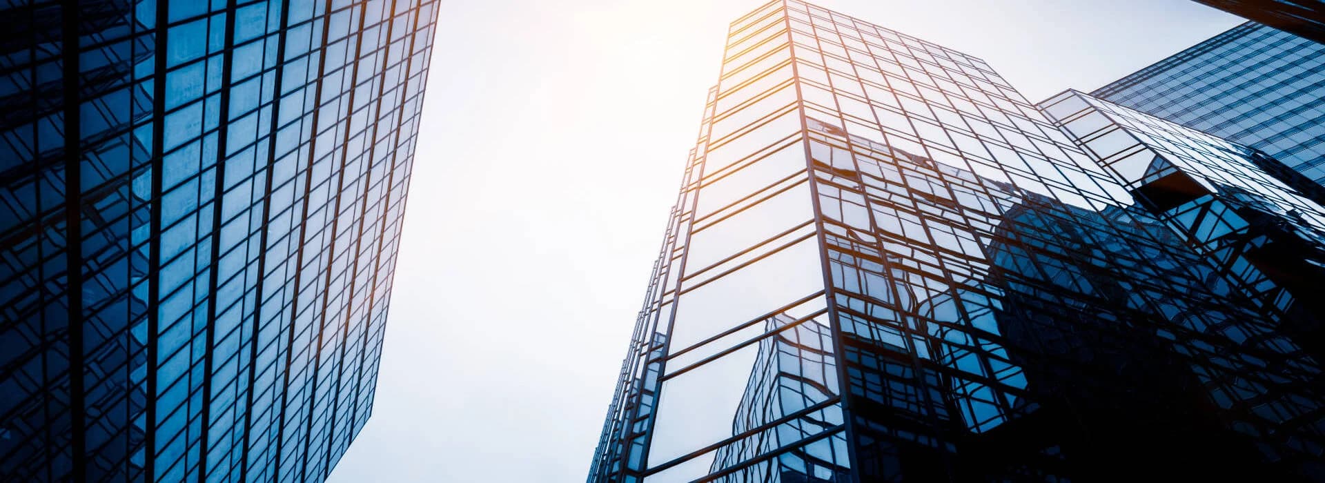 Quali passi deve compiere un’azienda per divenire sostenibile?