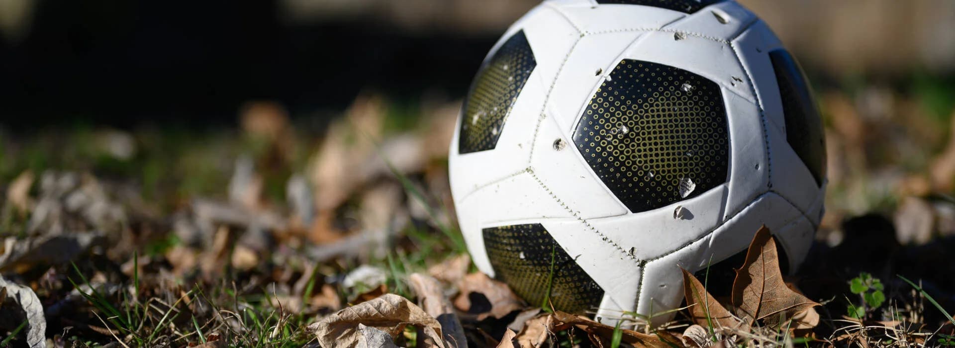 Sport e sostenibilità: i numeri che segnano la strada per un futuro più verde e innovativo