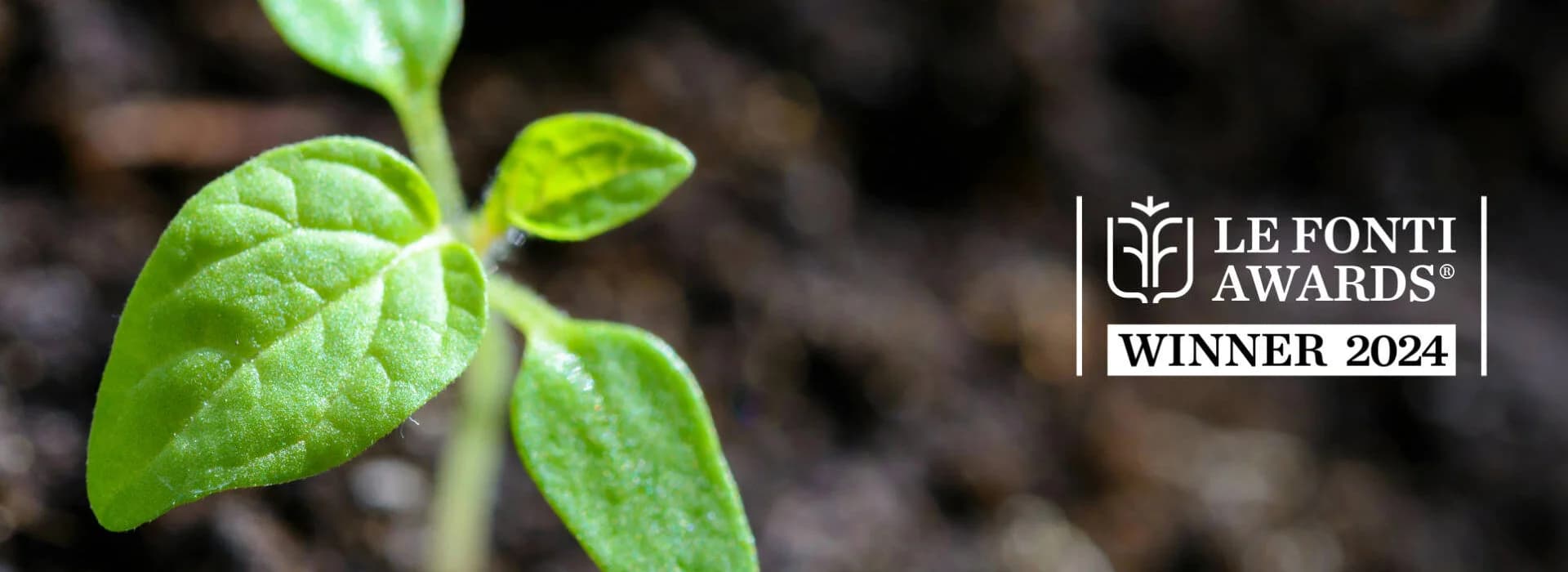 Turnaturi Frosi & Partners STP Società Benefit vincitrice miglior studio nella sostenibilità